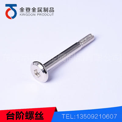 Stepped screw