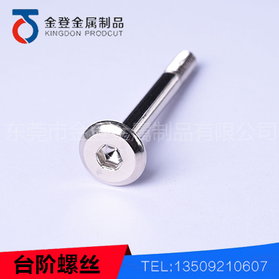 Stepped screw