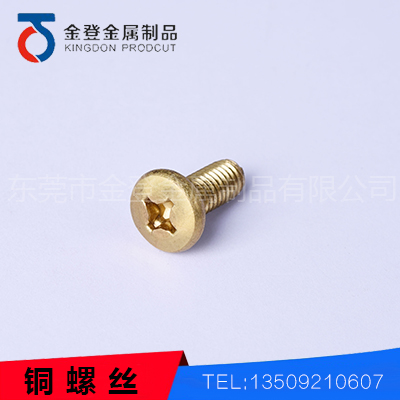 Copper screw