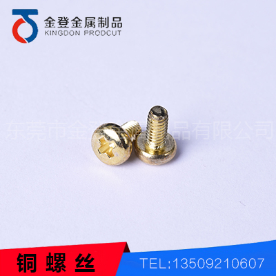 家私铜螺丝