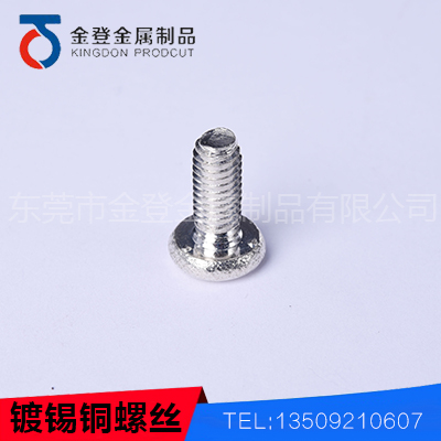 Tinned copper screw