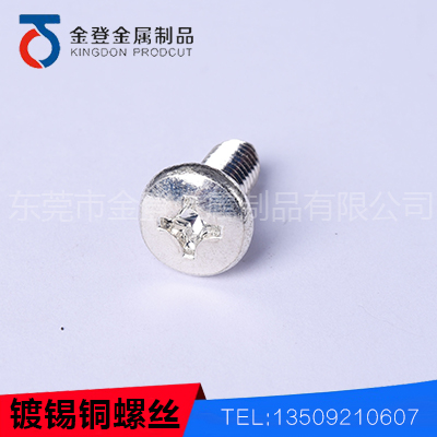 Tinned copper screw