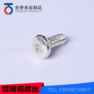 镀锡铜螺丝